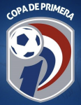 Division Profesional logo