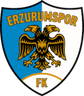 Erzurumspor FK logo