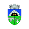 Anenii Noi Women logo