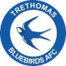 Trethomas Bluebirds logo