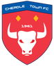 Cheadle Town logo