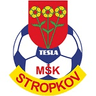 MSK Tesla Stropkov logo
