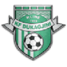 Dukagjini logo