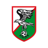 Sokół Kleczew logo