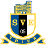 Eintracht Trier logo