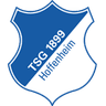 Hoffenheim logo