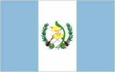 Guatemala Women logo
