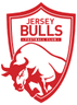 Jersey Bulls logo