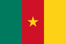 Cameroon Women logo