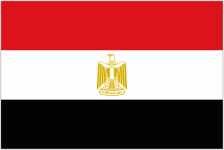 Egypt Women logo