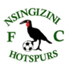 Nsingizini Hotspurs logo