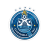 Puebla logo