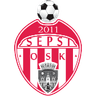 Sepsi OSK Sfantu Gheorghe logo