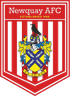 Newquay logo