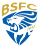 Union Brescia logo