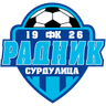Radnik Surdulica logo