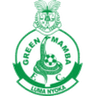 Green Mamba logo