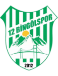 12 Bingölspor logo