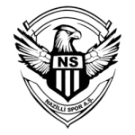 Nazilli Spor logo