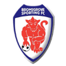 Bromsgrove Sporting logo
