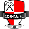 Cobham logo