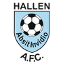 Hallen logo