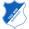 Hoffenheim II logo