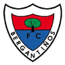 Bergantiños logo